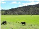 Kerry QLD 4285
