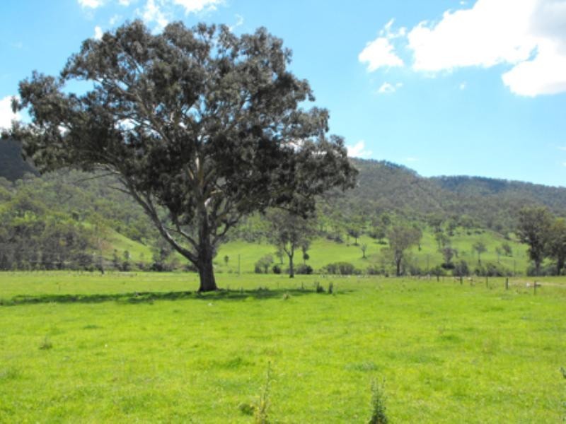 Kerry QLD 4285