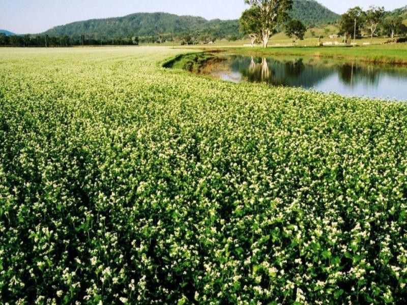 210 Kerry West Road, Beaudesert QLD 4285