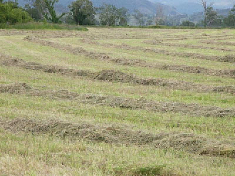 Laravale QLD 4285