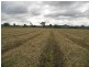 Laravale QLD 4285