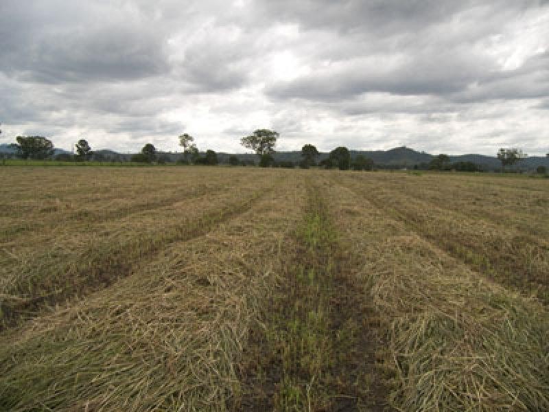Laravale QLD 4285