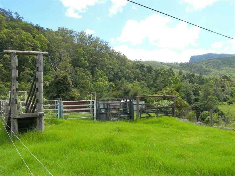 3196 Christmas Ck Rd Lamington, Beaudesert QLD 4285