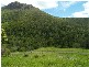 3196 Christmas Ck Rd Lamington, Beaudesert QLD 4285