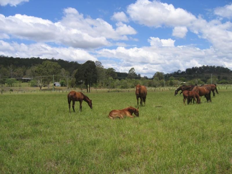 572 Lake Moogerah Road, Charlwood QLD 4309