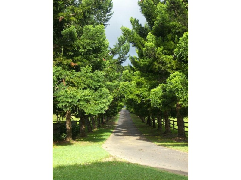 123 Lanes Road, Wongawallan QLD 4210