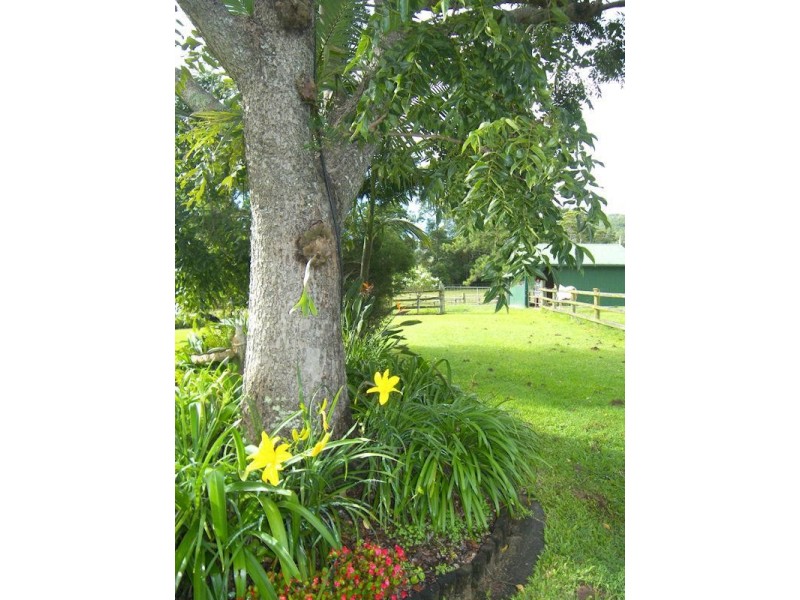 123 Lanes Road, Wongawallan QLD 4210