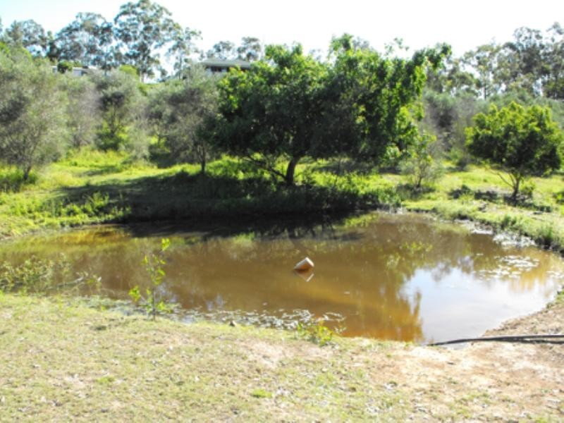 602 Millstream Road, Cedar Vale QLD 4285