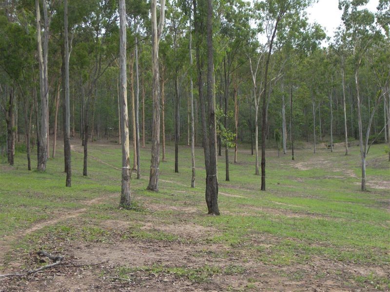 Lot 10, 67-77 Killigrew Road, Tamborine QLD 4270