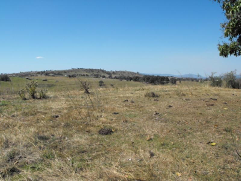 174 Kents Pocket Road, Boonah QLD 4310