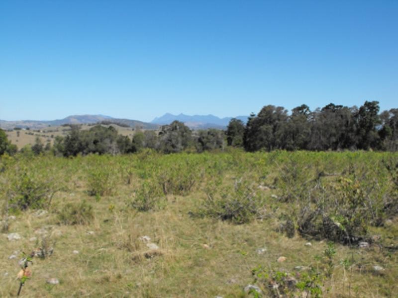 174 Kents Pocket Road, Boonah QLD 4310