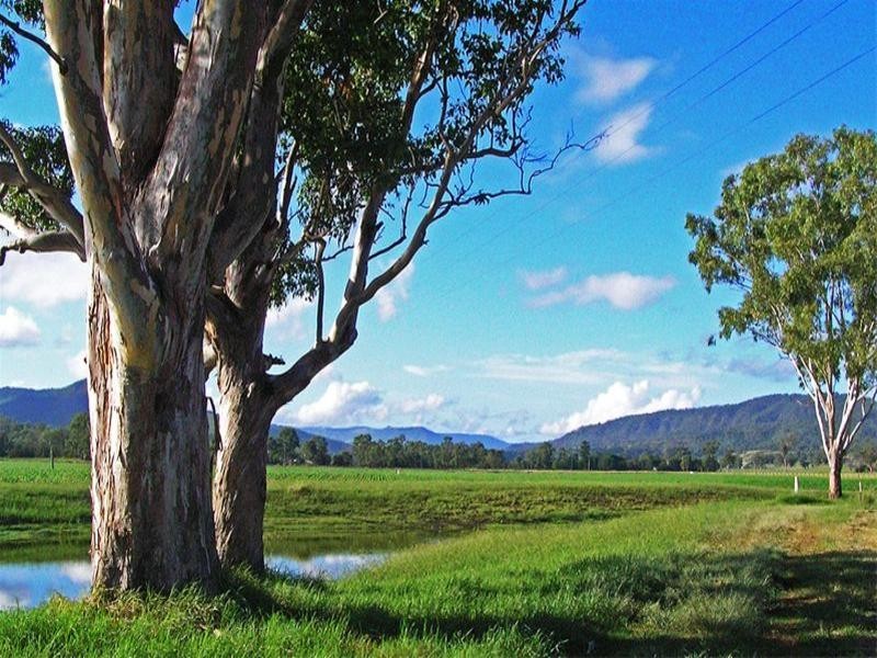 210 Kerry West Road, Beaudesert QLD 4285