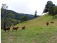 718 Illinbah, Canungra QLD 4275