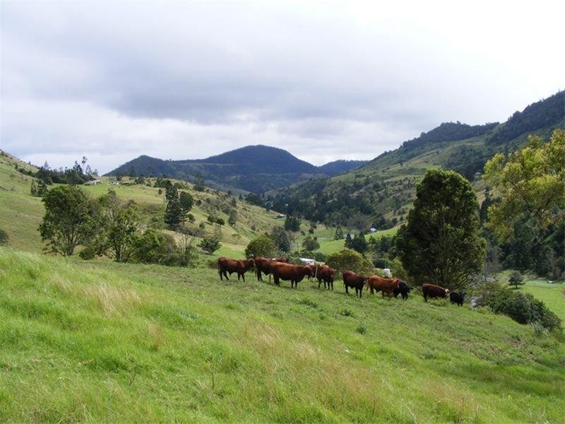718 Illinbah, Canungra QLD 4275