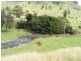 718 Illinbah, Canungra QLD 4275