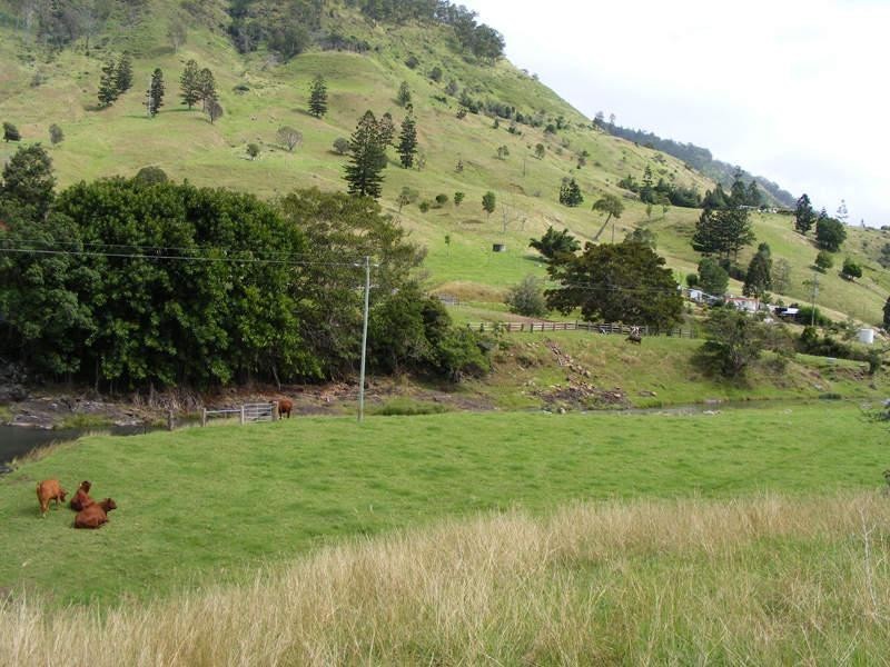718 Illinbah, Canungra QLD 4275