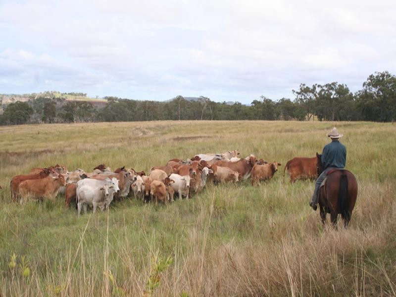 988 Pilton Valley Road, Upper Pilton QLD 4361