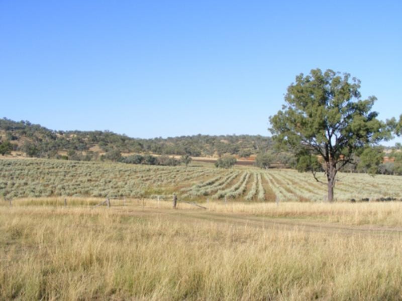 988 Pilton Valley Road, Upper Pilton QLD 4361