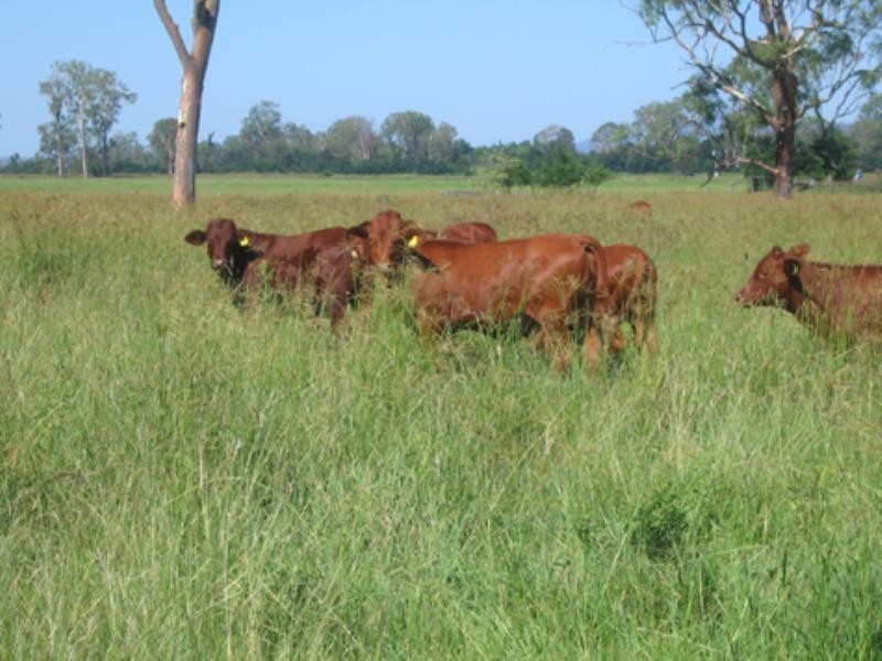 25 Kelly Road, Silverdale QLD 4307