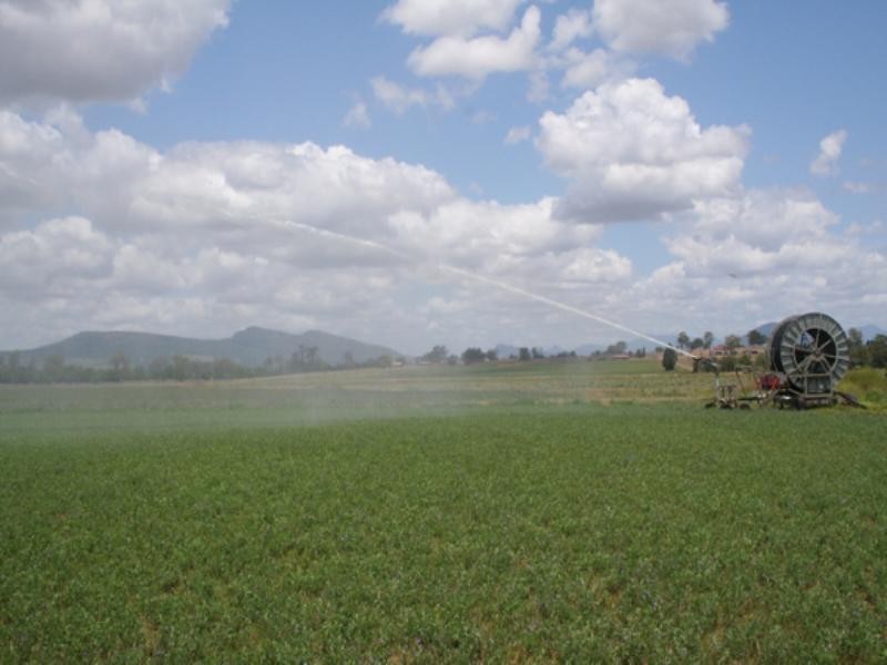 25 Kelly Road, Silverdale QLD 4307