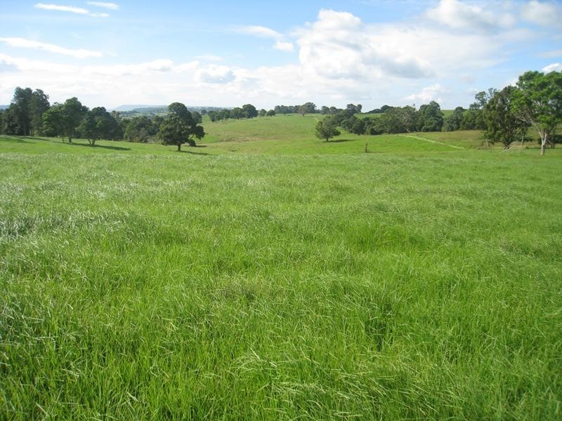 58 Mackenzie Road, Beechmont QLD 4211