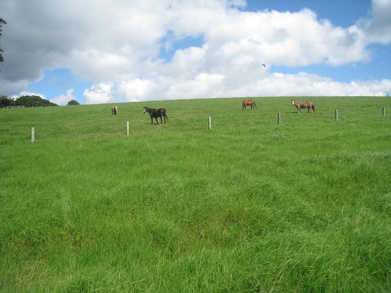 58 Mackenzie Road, Beechmont QLD 4211