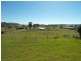 10 Siratro Court, Veresdale Scrub QLD 4285