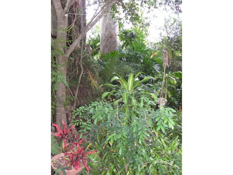 173 Mundoolun Connection Road, Boyland QLD 4275