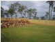 34 Hillside Crescent, Beaudesert QLD 4285