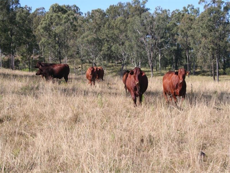 3300 Beaudesert – Nerang Road, Beaudesert QLD 4285