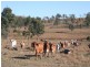 0 I Zahnow Road, Silverdale QLD 4307