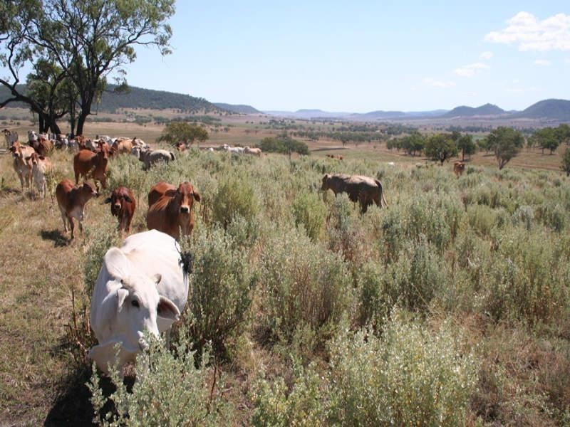 988 Pilton Valley Road, Upper Pilton QLD 4361