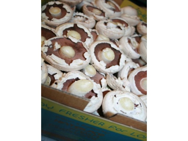 107 Kriedeman Road, Upper Coomera QLD 4209