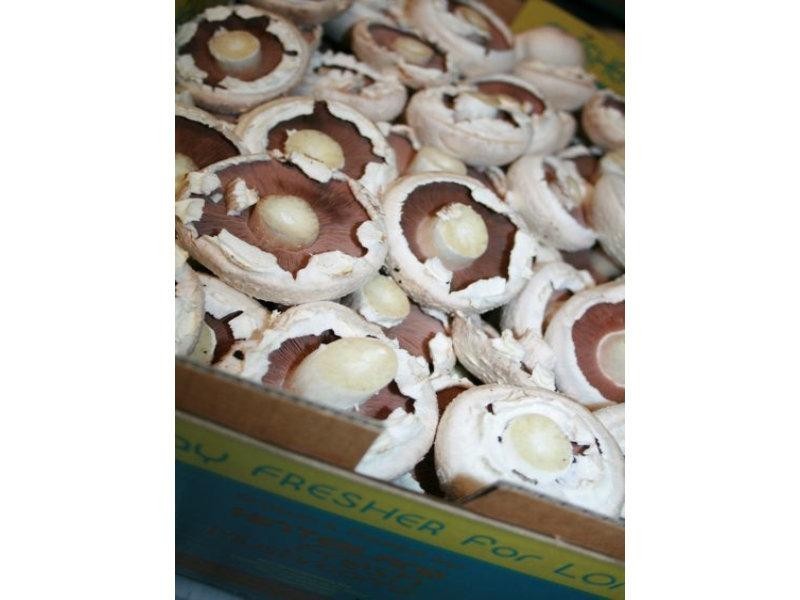 107 Kriedeman Road, Upper Coomera QLD 4209