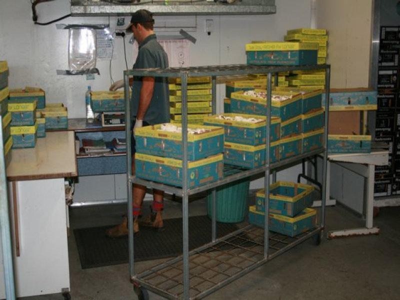 107 Kriedeman Road, Upper Coomera QLD 4209