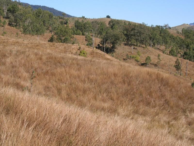 0 Philp Mountain Road, Running Creek QLD 4287