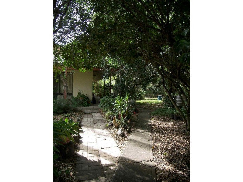 173 Mundoolun Connection Road, Boyland QLD 4275