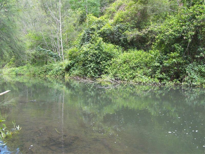 3196 Christmas Ck Rd Lamington, Beaudesert QLD 4285