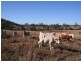0 I Zahnow Road, Silverdale QLD 4307