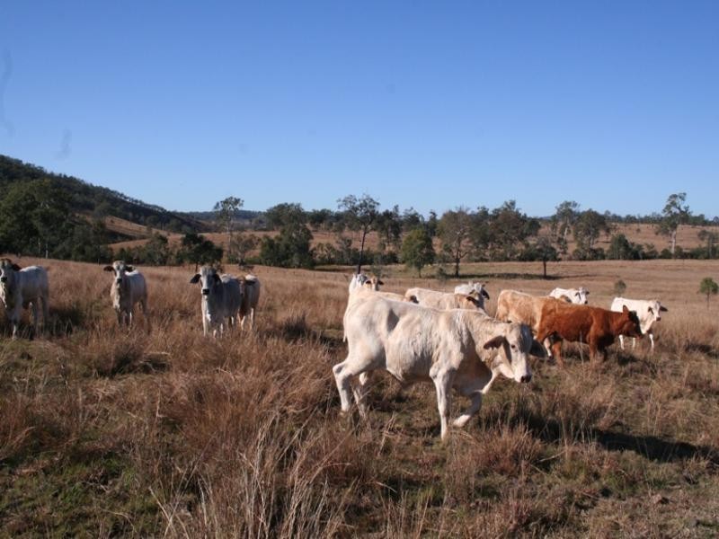 0 I Zahnow Road, Silverdale QLD 4307