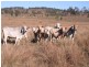 0 I Zahnow Road, Silverdale QLD 4307