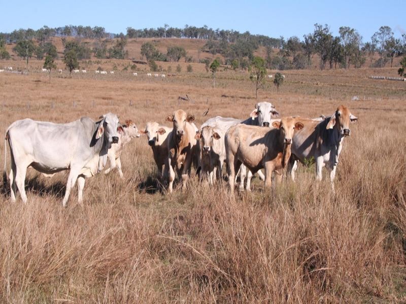 0 I Zahnow Road, Silverdale QLD 4307