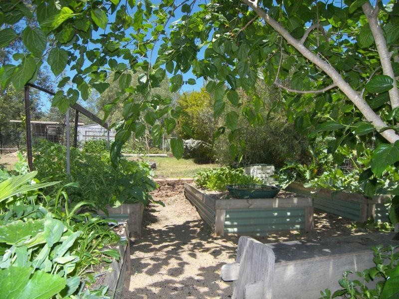 42 Flametree Court, Cedar Grove QLD 4285