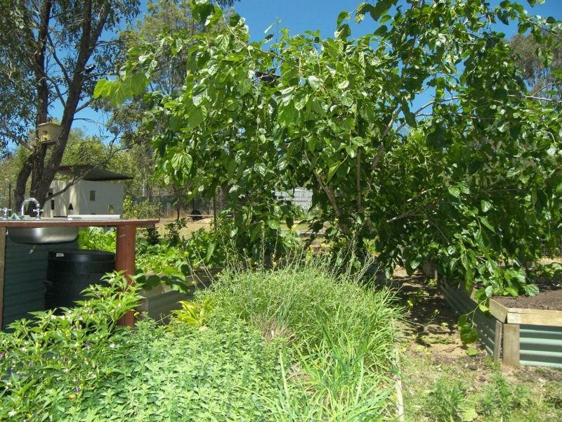 42 Flametree Court, Cedar Grove QLD 4285
