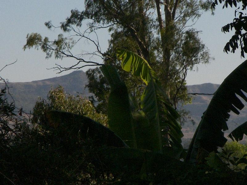 91 Brooklands Drive, Beaudesert QLD 4285