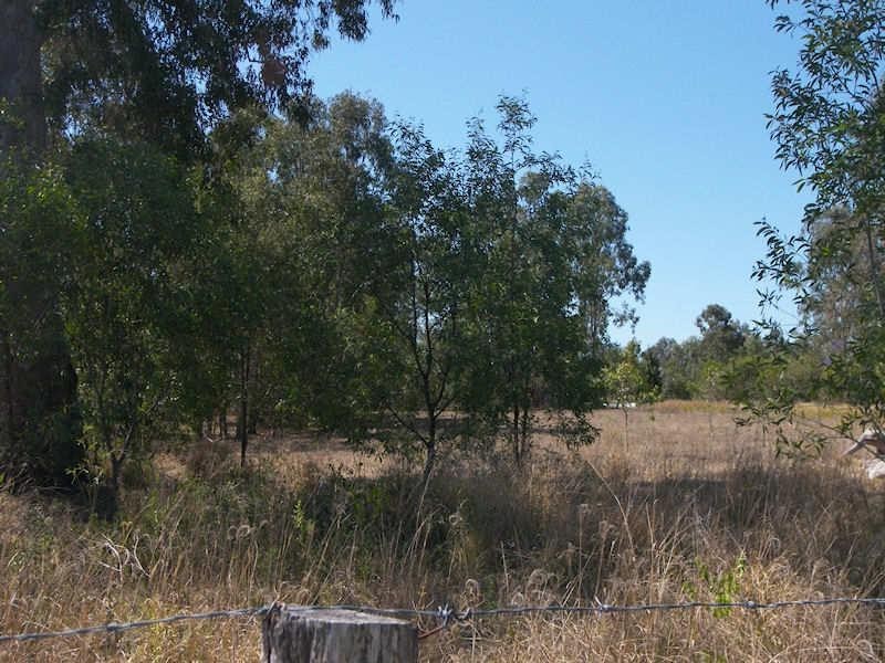 2-8 Chestnut Road, Tamborine QLD 4270