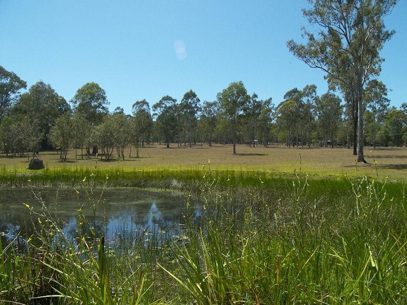 812 Mundoolun Connection Road, Tamborine QLD 4270