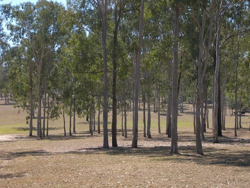 812 Mundoolun Connection Road, Tamborine QLD 4270