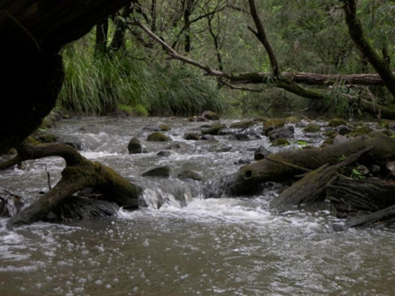 0 Beaudesert – Beenleigh Road, Mundoolun QLD 4285