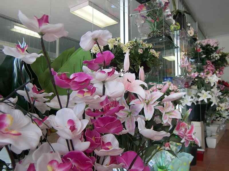 Shop3/22 William Street, Beaudesert QLD 4285